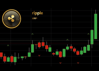 XRP god candle