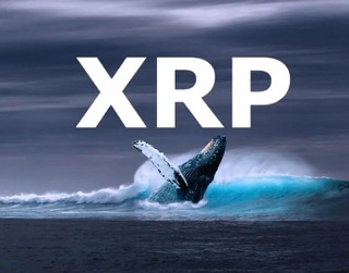 XRP whale Small