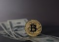 bitcoin price 2023 high 52-week high
