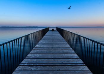 Avalanche AVAX Cosmos