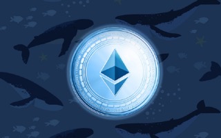 Ethereum whale Small