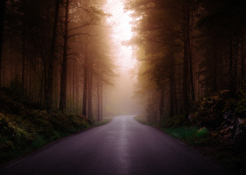 What Are Crypto OGs Doing Today?