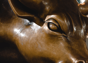7 Best Altcoins To Buy For The Next Crypto Bull Run – Solana, XRP, New Tokens