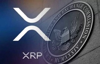 Ripple vs. SEC: What The Proposed Schedule Submitted On Thursday Means