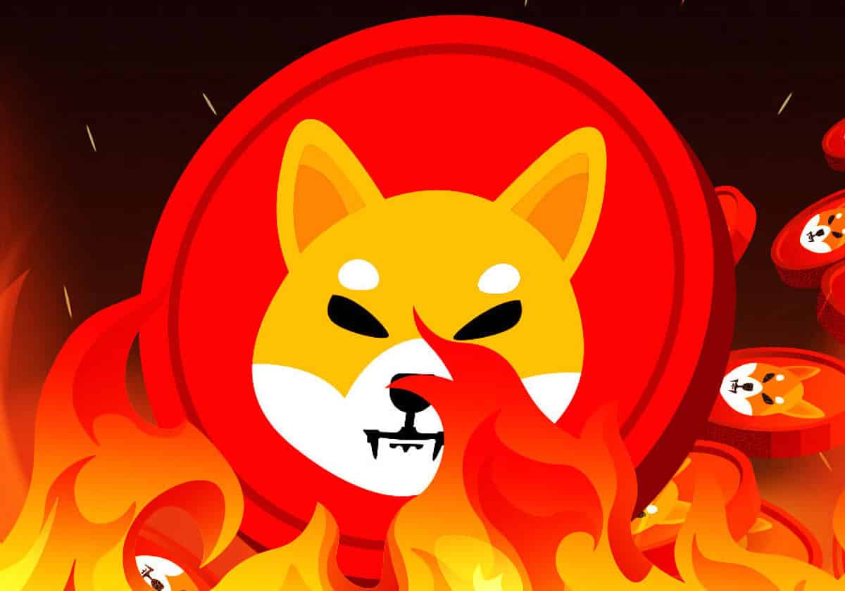 Shiba Inu