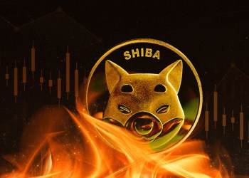 Shiba Inu