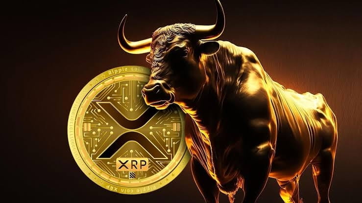 XRP price bull
