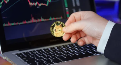 Dogecoin Bulls On Hold: Analyst Cautions Vs. Premature DOGE Expectations