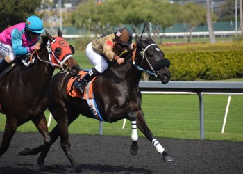 Best Offshore Sportsbooks – Betting Sites for US 2023