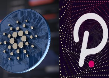 Cardano Polkadot