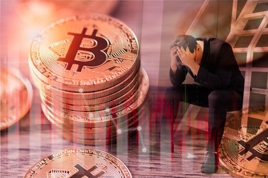 Crypto Misfortune: European Central Bank Chief’s Son Hit By 60% Investment Loss