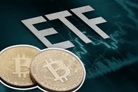 Hashdex spot Bitcoin ETF