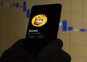 Bonk (BONK) Price Skyrockets 500% in 30 Days; Eos (EOS) & Borroe Finance (ROE) Gear Up for Gains