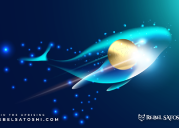 While Dogecoin (DOGE) Decline,  Rebel Satoshi Emerges as the Fastest Growing Meme of 2023