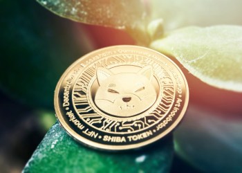 Shiba Inu Rival is Becoming the Preferred Choice for Investors over NEO & Chainlink