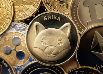 Shiba Inu vs. Galaxy Fox — Which One to Buy While The Market Dips?