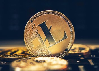 Litecoin (LTC) and Stellar (XLM) See Investors Interested Rush To Buy Into New Crypto Presale Gem Pushd (PUSHD)