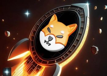 Shiba Inu SHIB price