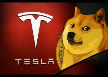 Tesla Dogecoin