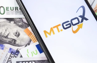 Mt. Gox