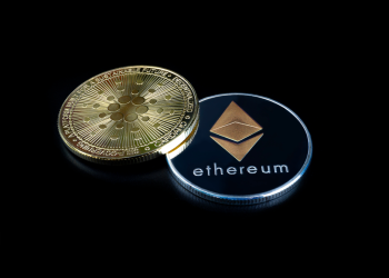 ‘Bulletproof’ says expert about Pushd (PUSHD). Polygon (MATIC) & Ethereum Classic (ETC) love Pushd (PUSHD) for it’s security