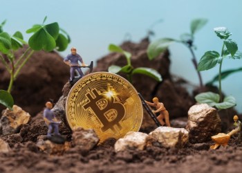 As Bitcoin and Arbitrum Gain Momentum, Identifying a Potential Leader for the Next Bull Market in Cryptocurrency