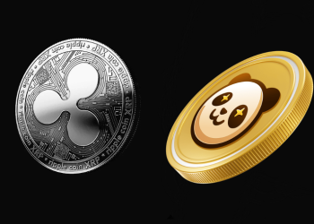 3 Reasons why Ripple (XRP) Holders are selling and getting into the Pandoshi (PAMBO)
