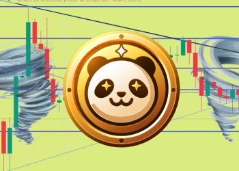 This DeFi Coin Is Set For A Massive Pump In 2024