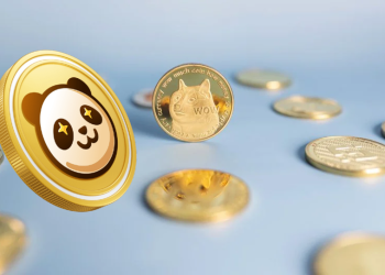 Dogecoin (DOGE) Price Analysis 2024, why are DOGE holders shifting to Pandoshi (PAMBO)