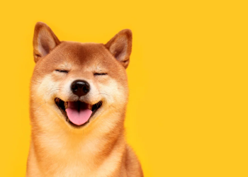 Why Pushd (PUSHD) Is Predicted To Be The Best Investment In 2024 Over Dogecoin (DOGE) And Polygon (MATIC)