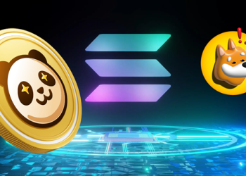3 Life-Altering Tokens: Solana (SOL), Pandoshi (PAMBO), and Bonk (BONK)