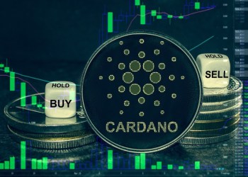 2024: A Key Year for Cardano (ADA) & Borroe Finance?