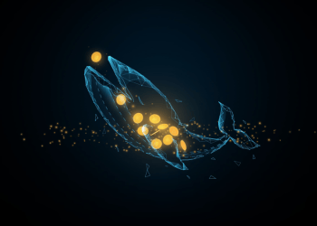 Bitcoin Sees Major Whale Transfer; Cardano & Borroe Finance Eye Considerable Growth