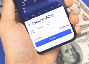 Cardano Leads in Wallet Expansion; Major Ripple Investors Eager for Borroe Finance’s Presale