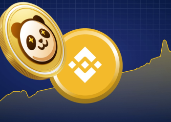 Binance Coin (BNB) and Pandoshi (PAMBO): Two Underestimated Tokens in 2024