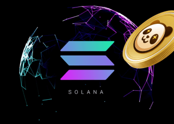 Pandoshi (PAMBO) Rivals Solana (SOL) and Shiba Inu (SHIB) in the Crypto Market