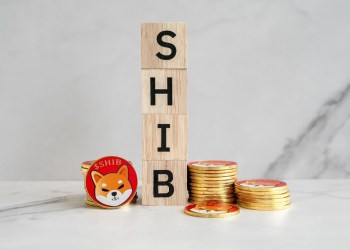 Why Shiba Inu Successor is the Investor’s Choice for Maximizing Returns in Feb 2024