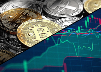 The Pushd (PUSHD) presale is gaining attention from the crypto community as Polygon (MATIC) and Solana (SOL) take a dive