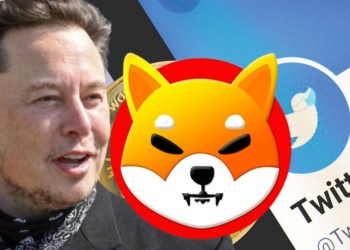 Shiba Inu payments X Twitter