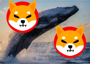 Shiba Inu whales