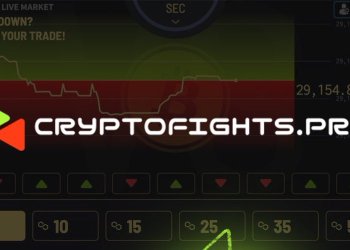 Why CryptoFightsPro Is A Technical Knockout