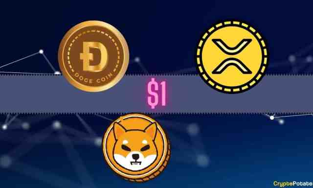 Binance Releases Proof Of Reserves: Here’s How Much DOGE, SHIB, And XRP It Holds