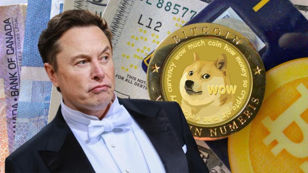 Elon Musk Dogecoin