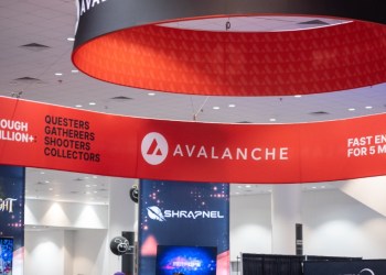 Market Watch: Avalanche (AVAX) Eyes Recovery, Borroe Finance Presale Attracts High-Net-Worth Investors