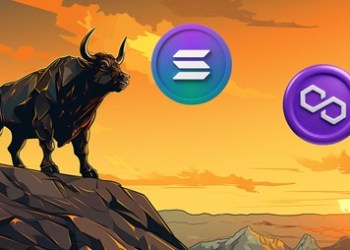 Renowned Polygon Bull and Early Solana Backer Reveals a New Favourite Ahead of the 2024 Bull Run, Currently Priced at Only $0.1