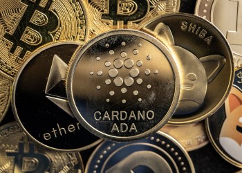 Market Sentiment Suggests Impending Market Bounce: Cardano (ADA), Dogecoin (DOGE), and InQubeta (QUBE) — Altcoins to Watch