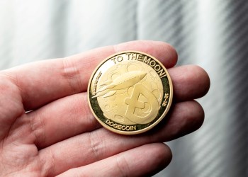 Investor Shift: Borroe Finance Presale Gains Momentum as Dogecoin and AVAX Go Bearish