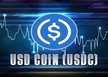 Pushd (PUSHD) Decentralized Draws Big Investors From BNB (BNB) & USDC (USDC) as Revolutionary Presale Continues To Grow