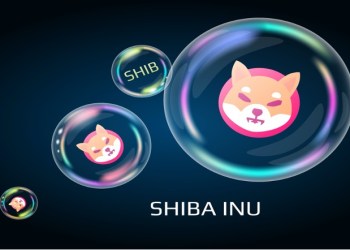 Algorithm Expert Tips Pushd (PUSHD) To Overtake Bonk (BONK) & Shiba Inu (SHIB) in mid-late 2024 as presale still live!