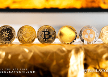 Investors Believe New Memecoin Rebel Satoshi ($RBLZ) Has More Room for Price Pumps Than Dogecoin (DOGE)